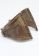 Brass bracelet - Fra Fra (Gurunsi) - Ghana