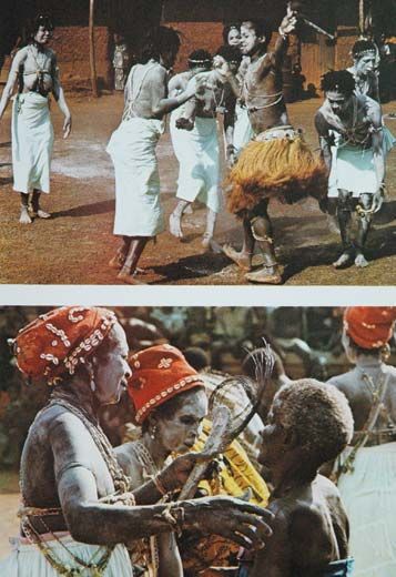 Abenteuer Afrika - Walter R�del
