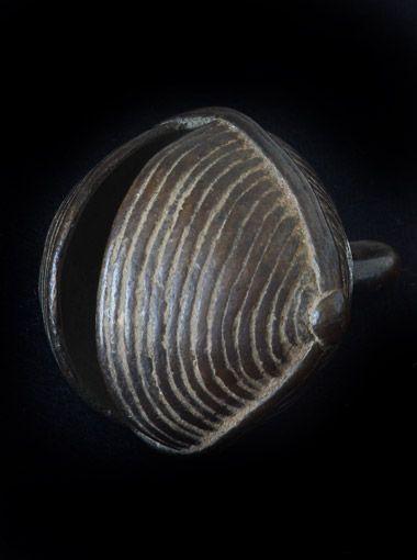 Bell - Dan - Elfenbeink�ste